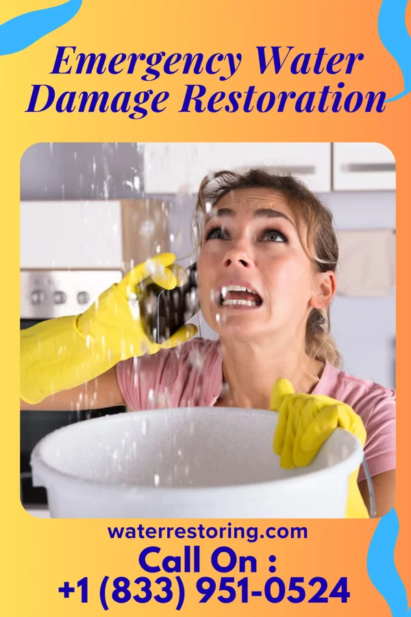 Emergency Water Damage Restoration in Alcorn State University, MS