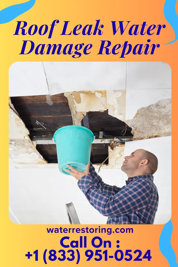 Roof Leak Water Damage Repair in Alcorn State University, MS