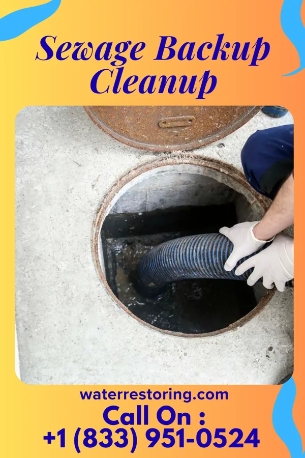 Sewage Backup Cleanup in Alcorn State University, MS